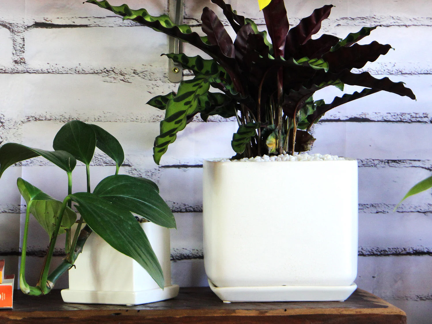 Cube with Attached Saucer- 5.5" x 5.0" By Plantatorem - Image 2