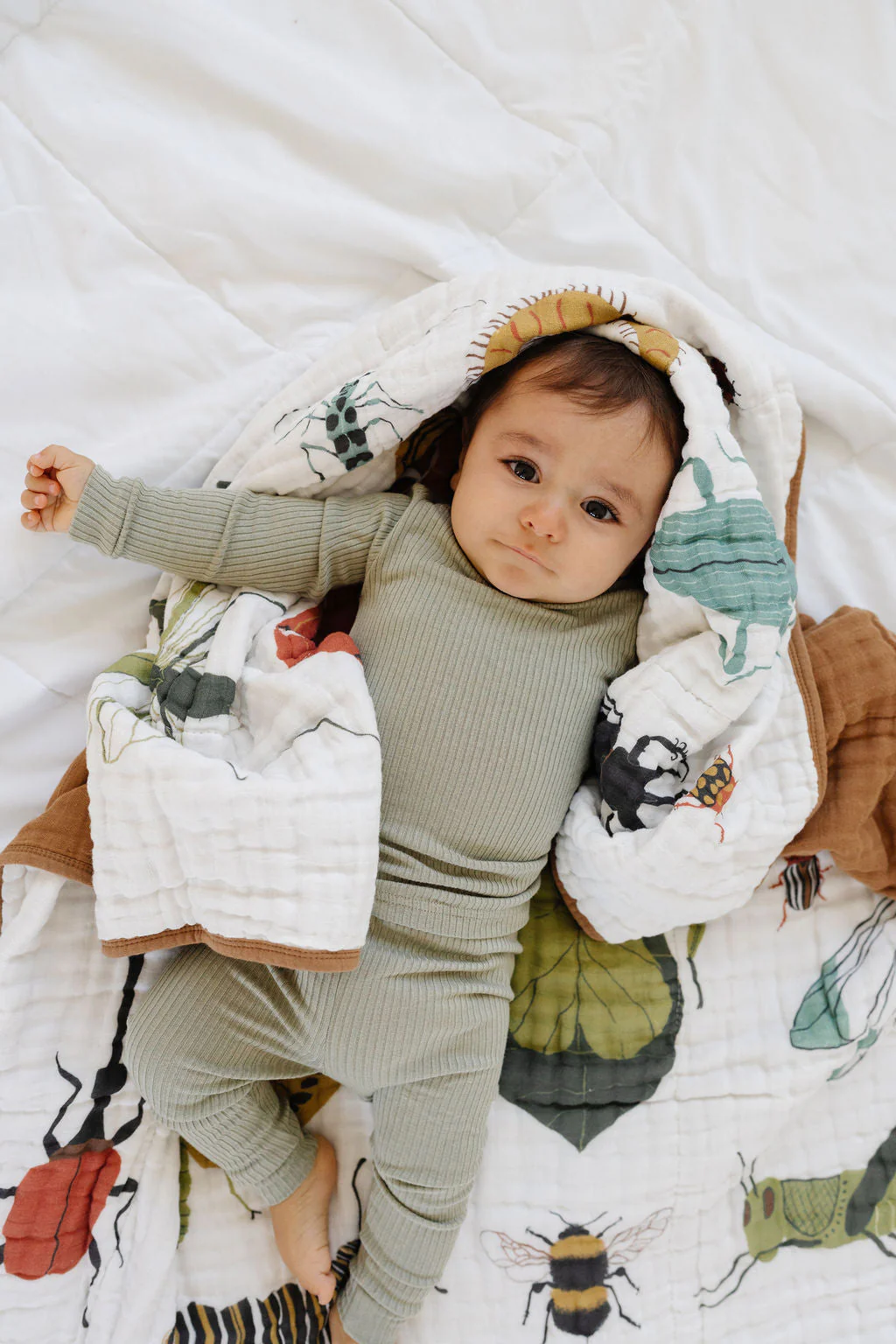 Cutie Crawlies Quilt - Image 4