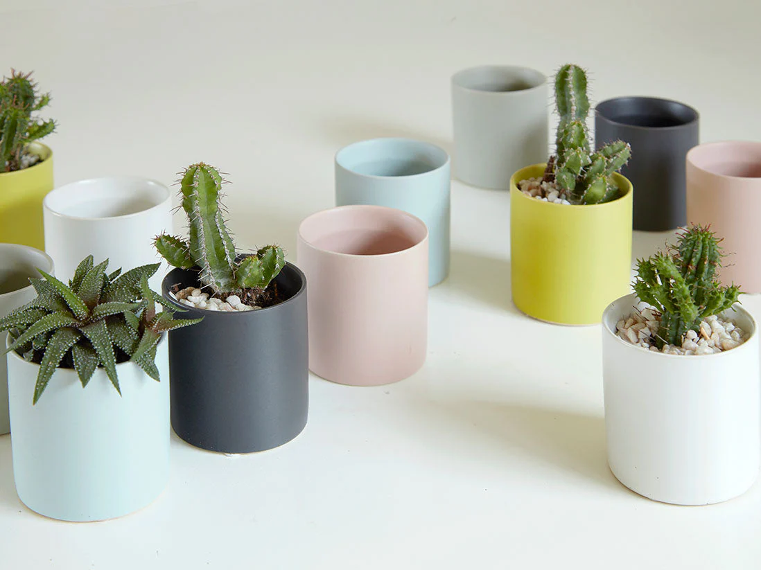 Cylinder Cache Pot 4.0" x 3.5" By Plantatorem - Image 4