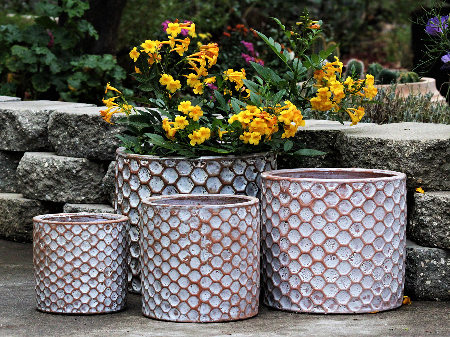 Cylinder Hexagon Planter - Image 2