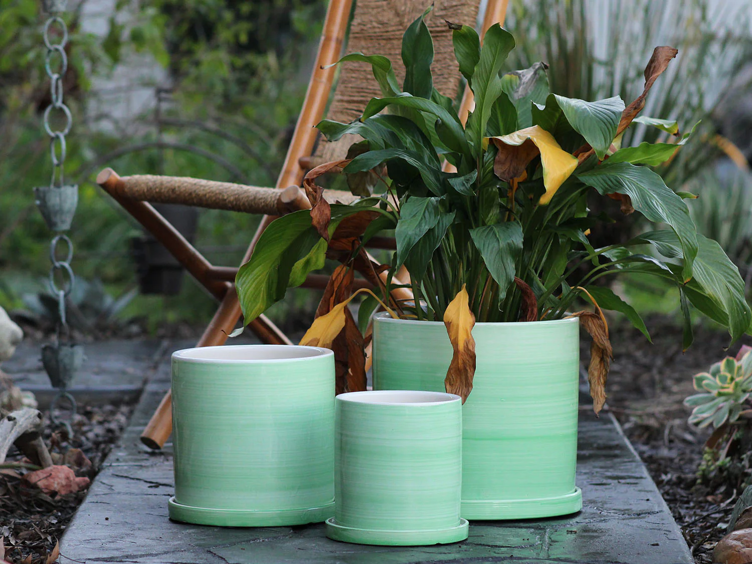 Cylinder Ombre Planter By Plantatorem - Image 10