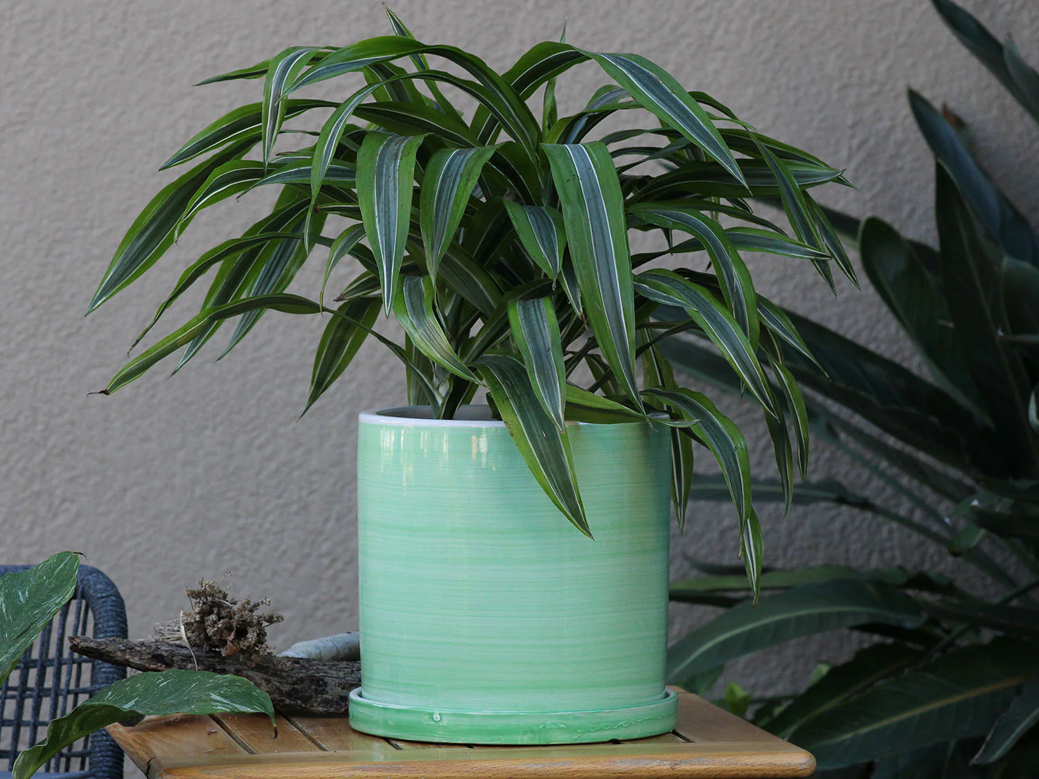 Cylinder Ombre Planter By Plantatorem - Image 12