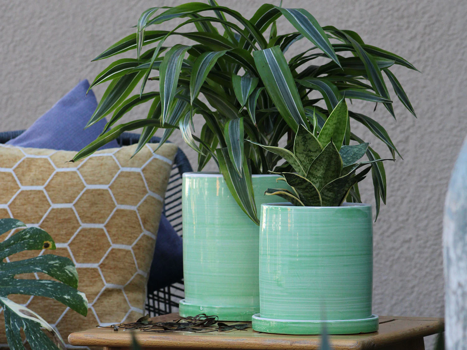 Cylinder Ombre Planter By Plantatorem - Image 14