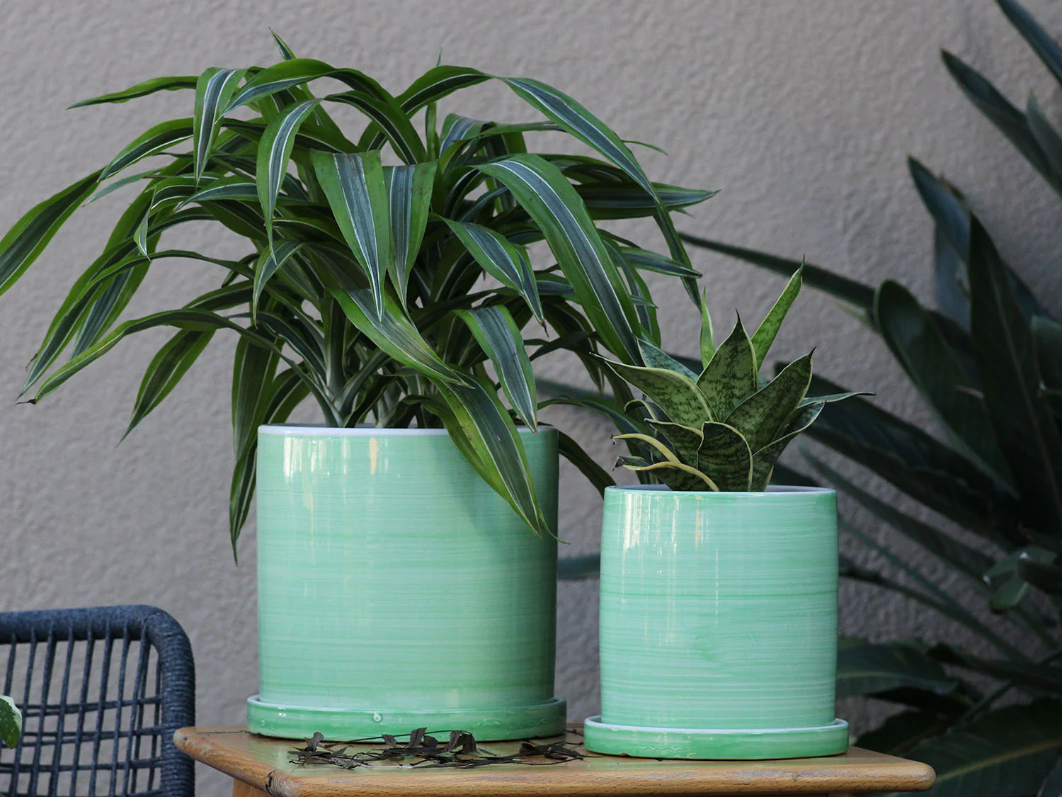 Cylinder Ombre Planter By Plantatorem - Image 15