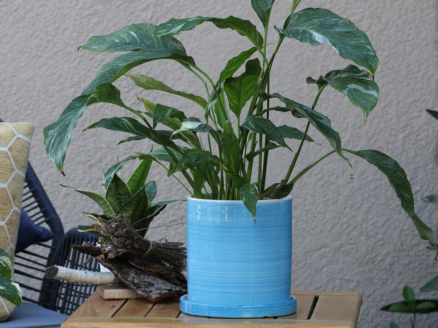 Cylinder Ombre Planter By Plantatorem - Image 3