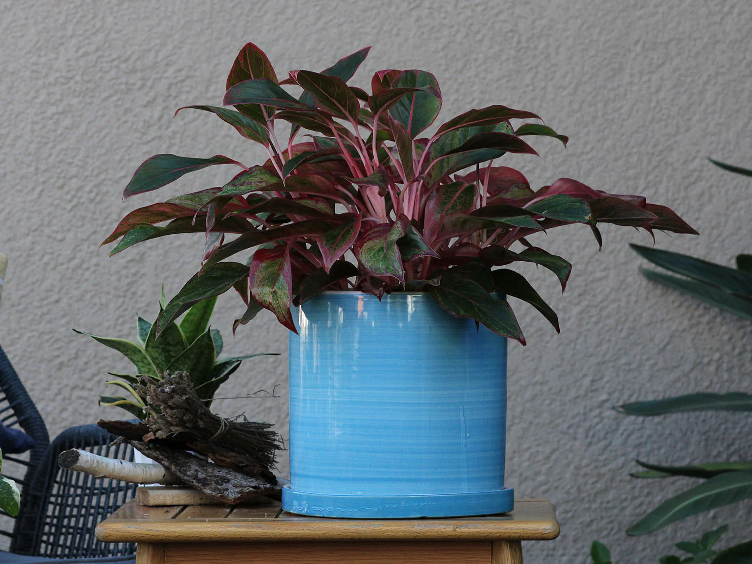 Cylinder Ombre Planter By Plantatorem - Image 5