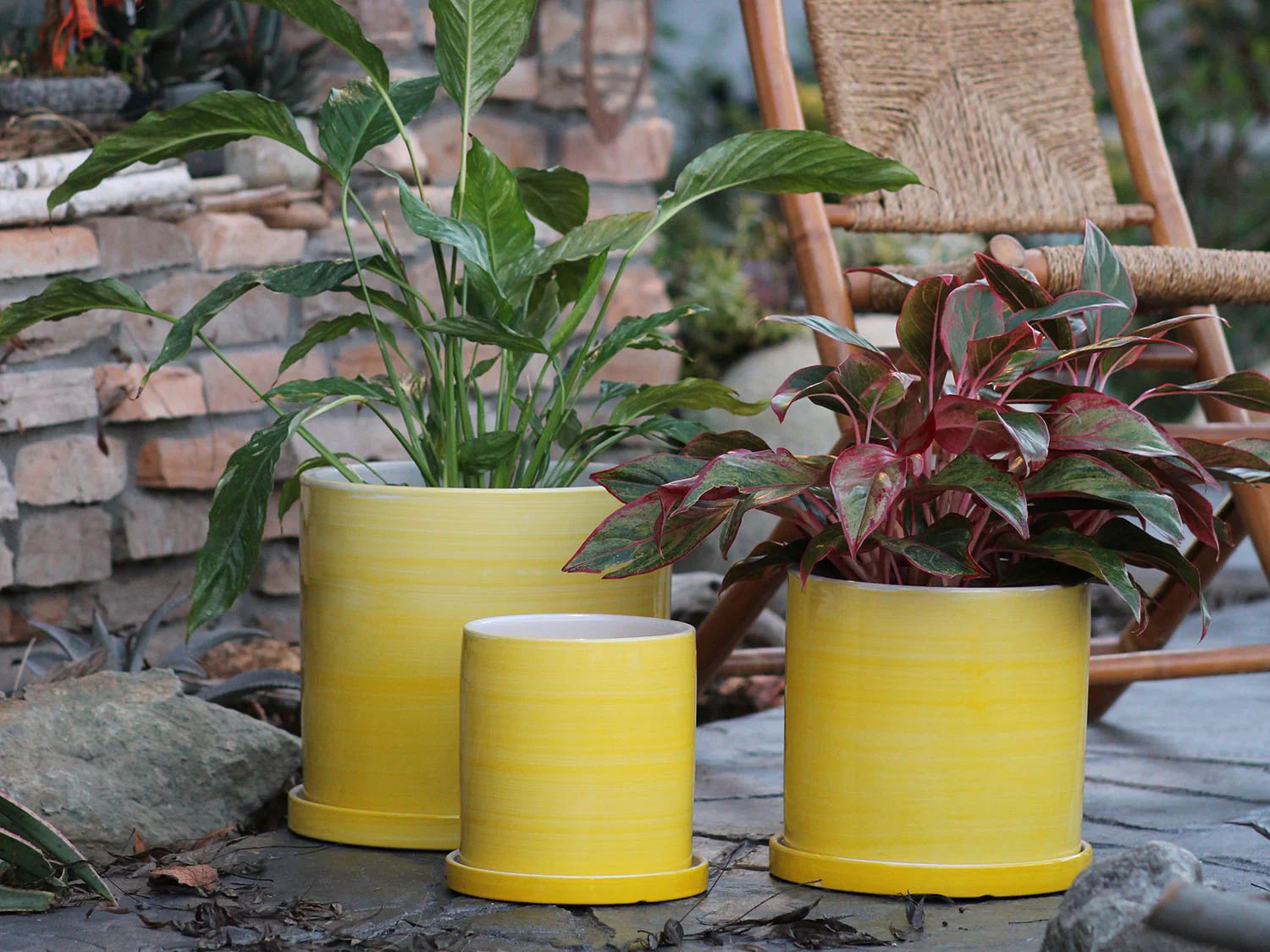 Cylinder Ombre Planter By Plantatorem - Image 6