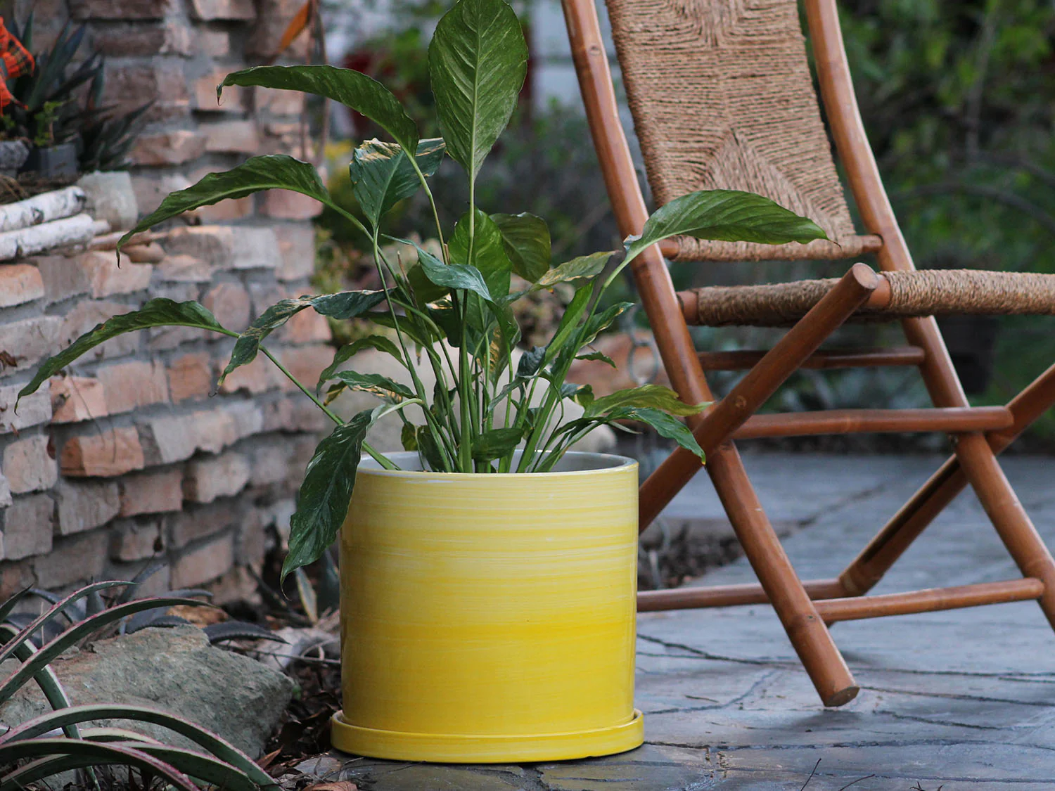 Cylinder Ombre Planter By Plantatorem - Image 7