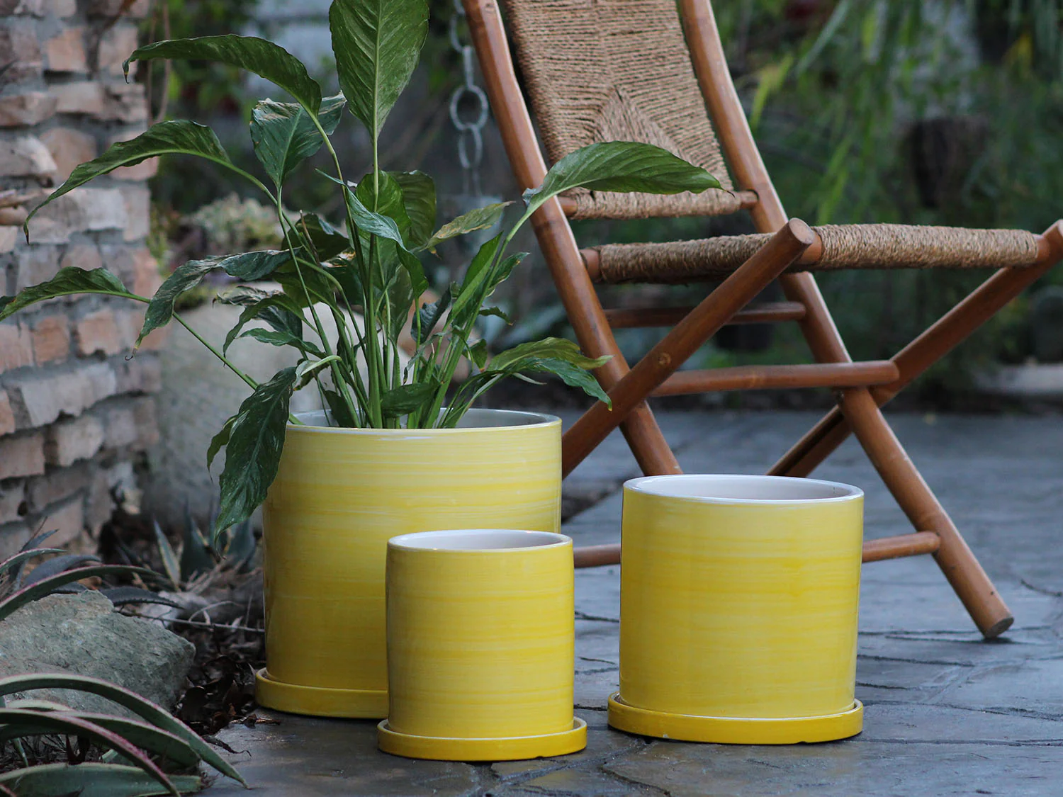 Cylinder Ombre Planter By Plantatorem - Image 8