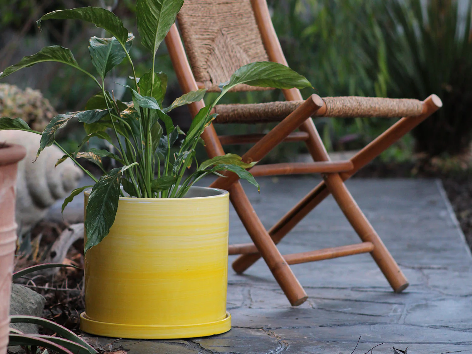 Cylinder Ombre Planter By Plantatorem - Image 9