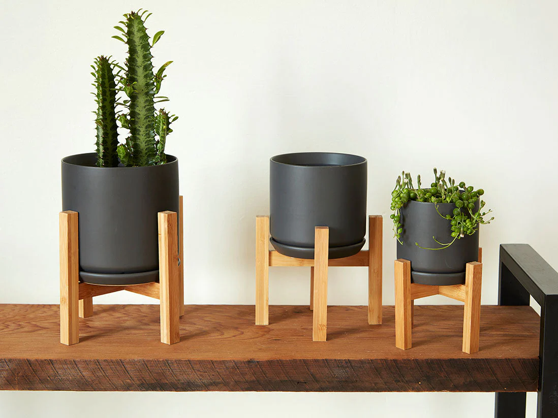 Cylinder with Attached Saucer-5.0" x 4.5" By Plantatorem - Image 3