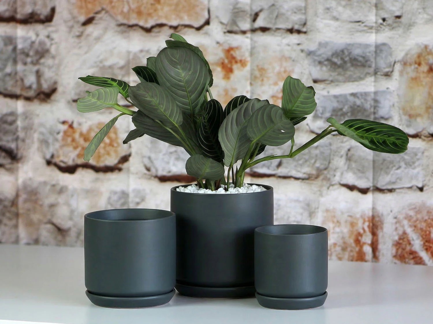 Cylinder with Attached Saucer-6.0" x 5.5" By Plantatorem - Image 2