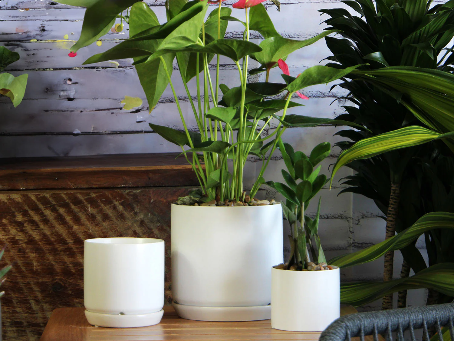 Cylinder with Attached Saucer-6.0" x 5.5" By Plantatorem - Image 4