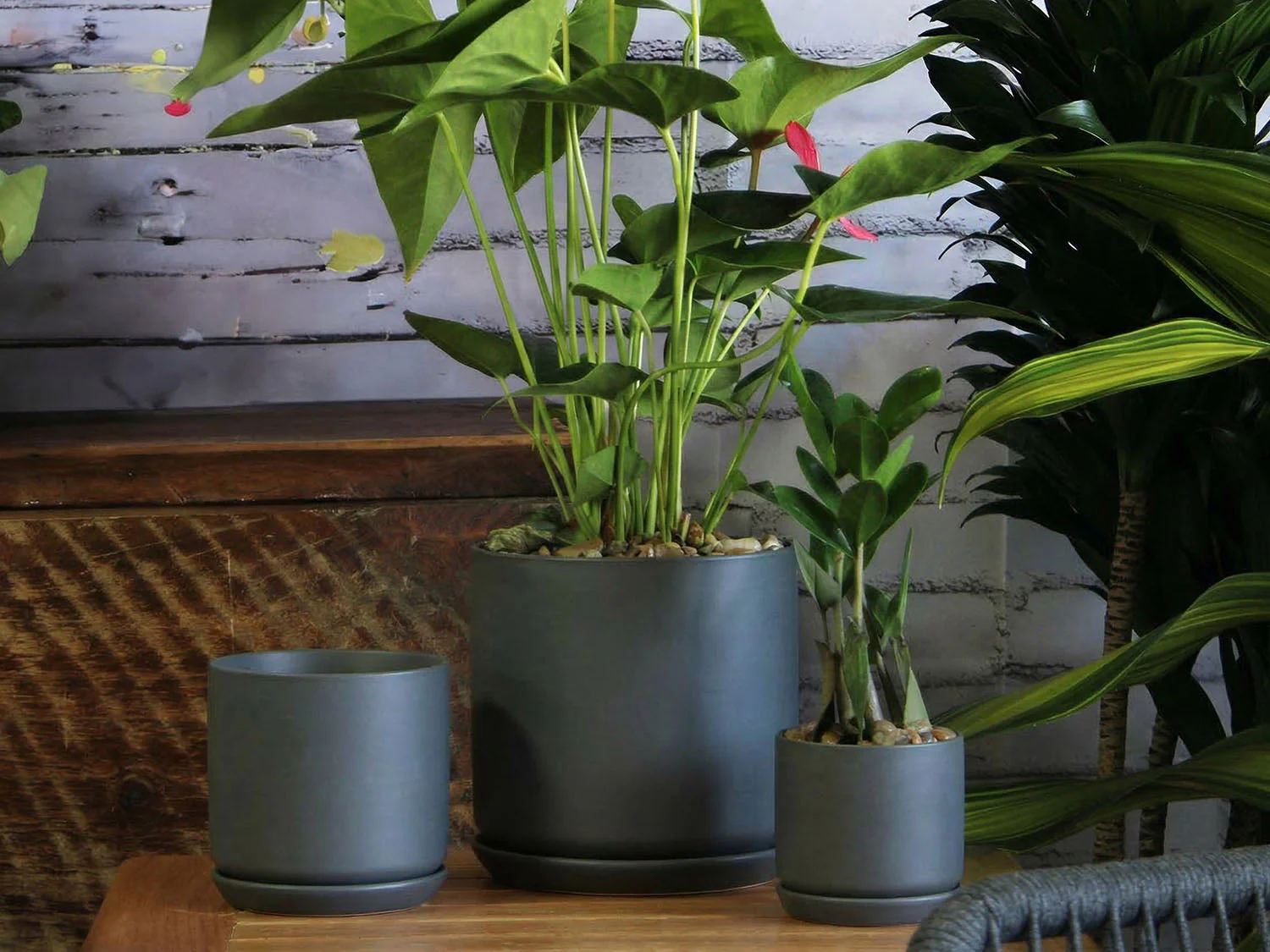 Cylinder with Attached Saucer- 7.0" x 6.5" By Plantatorem - Image 4