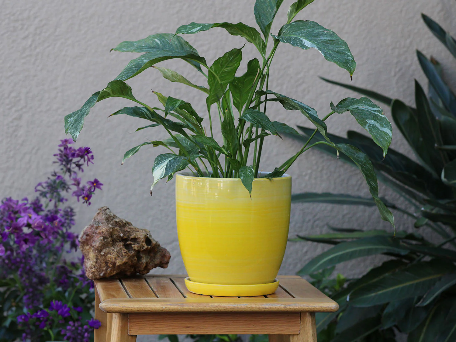 Daffodil Planter By Plantatorem - Image 4