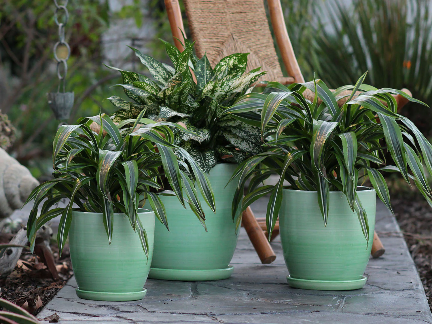 Daffodil Planter By Plantatorem - Image 6