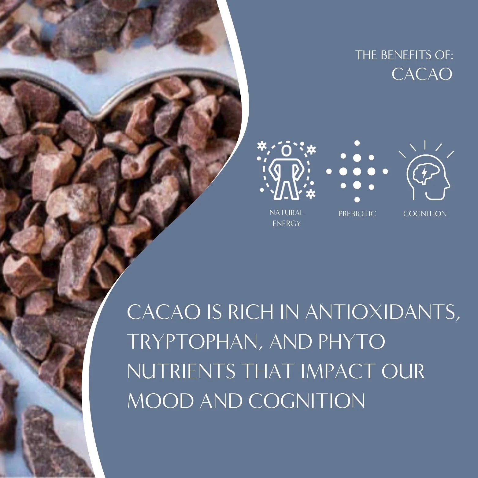 Dark Chocolate Prebiotic SuperBoost Herbal Coffee - Image 7