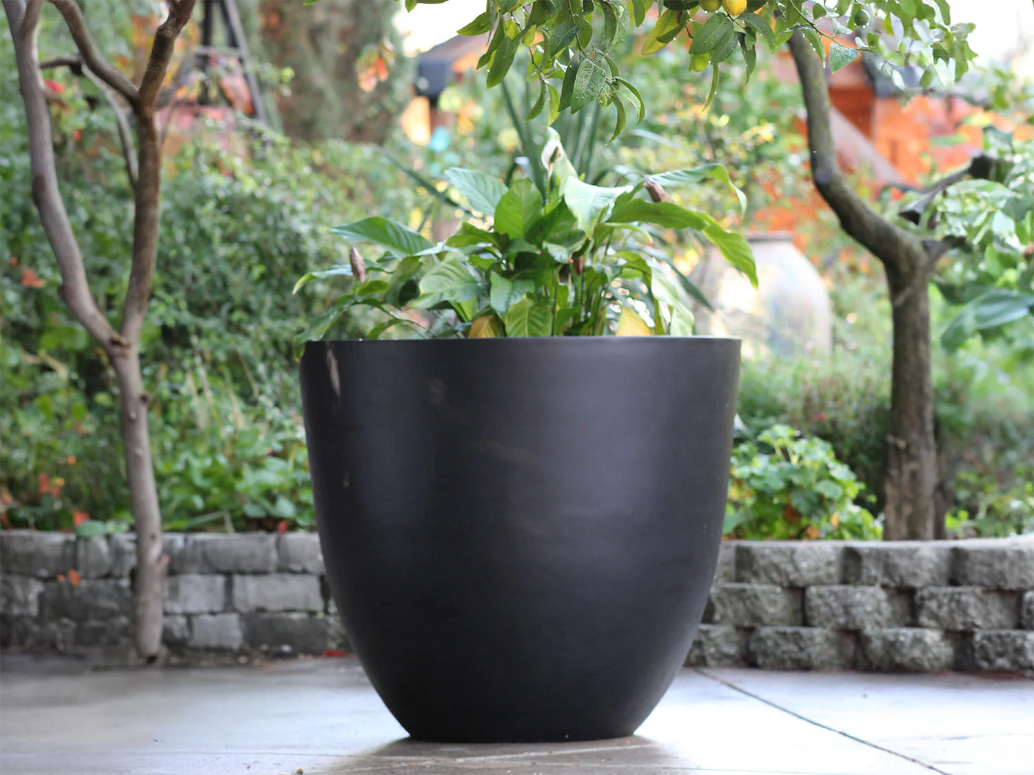 Deep Bowl Planter 43.5" D x 37.5" H  By Plantatorem - Image 7