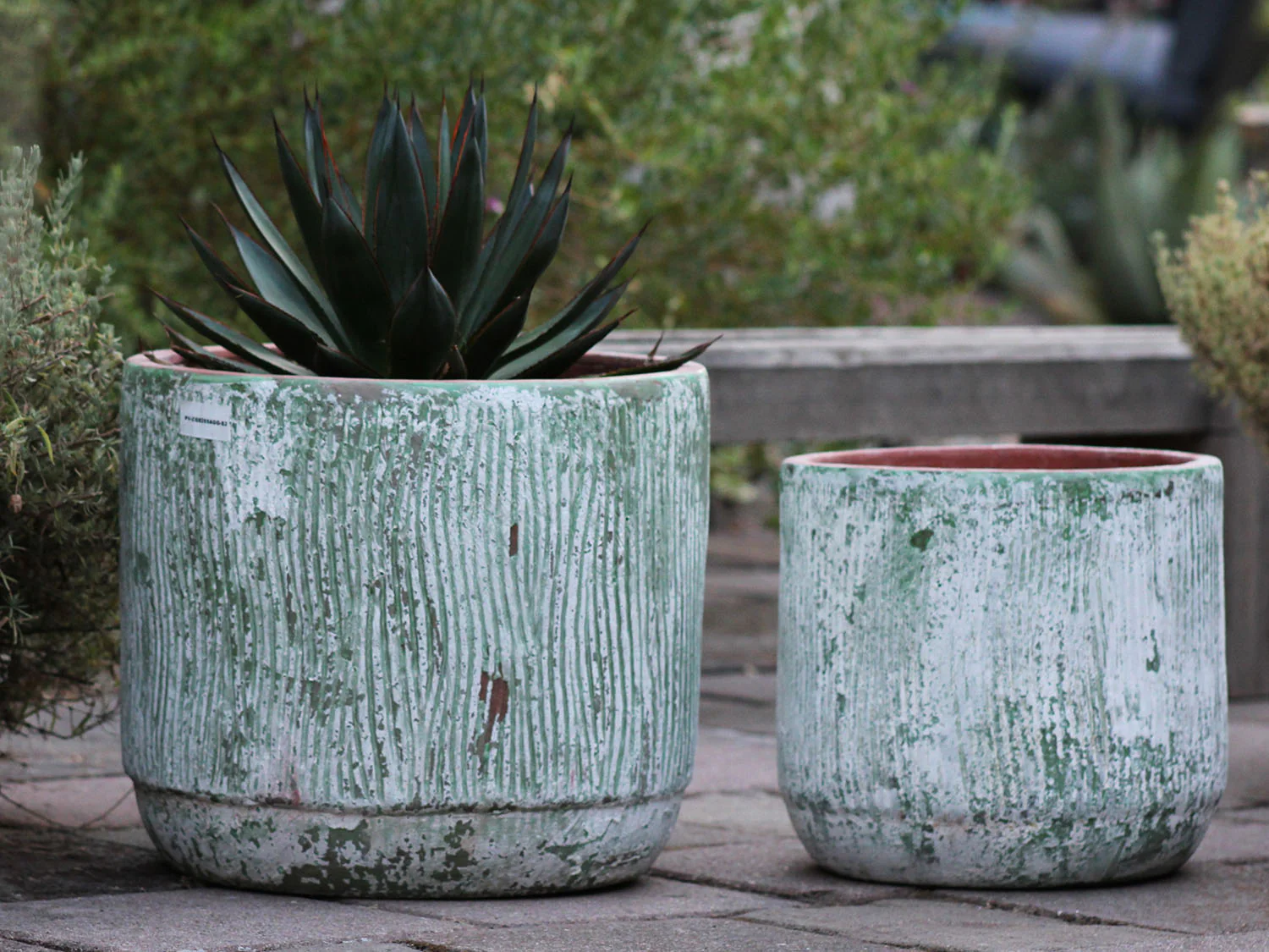 Delphinium Planter - Set of 2 By Plantatorem - Image 3