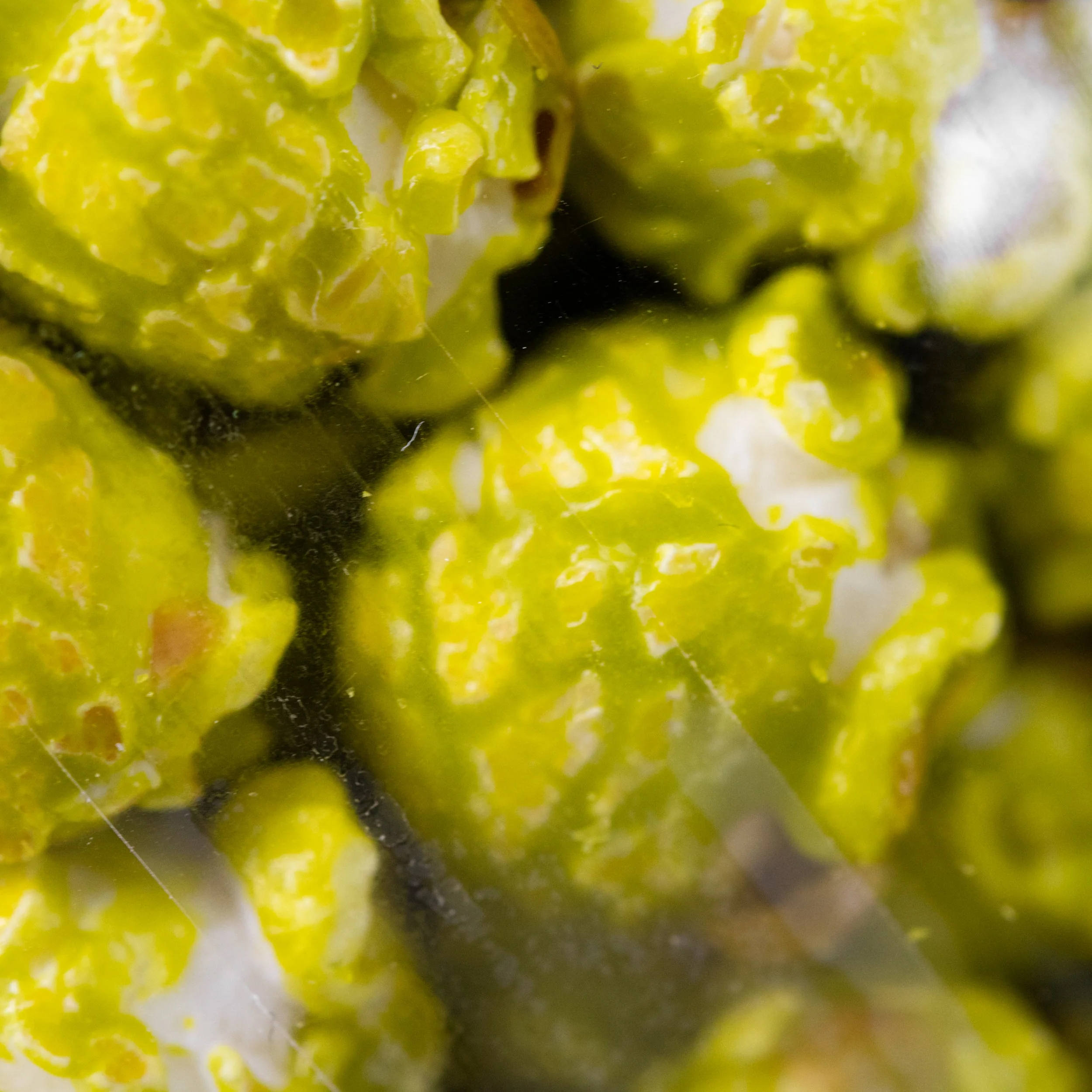 Dew Soda Popcorn | 7 oz | Pack of 2 | HR Poppin' Snacks - Image 4