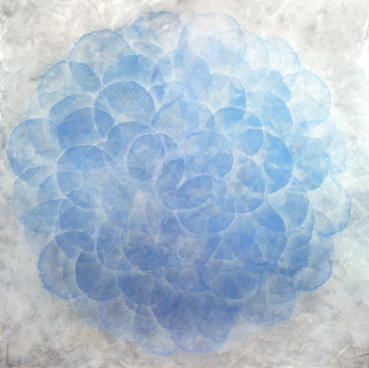Dichondra - Limited Edition Canvas Print - Image 3