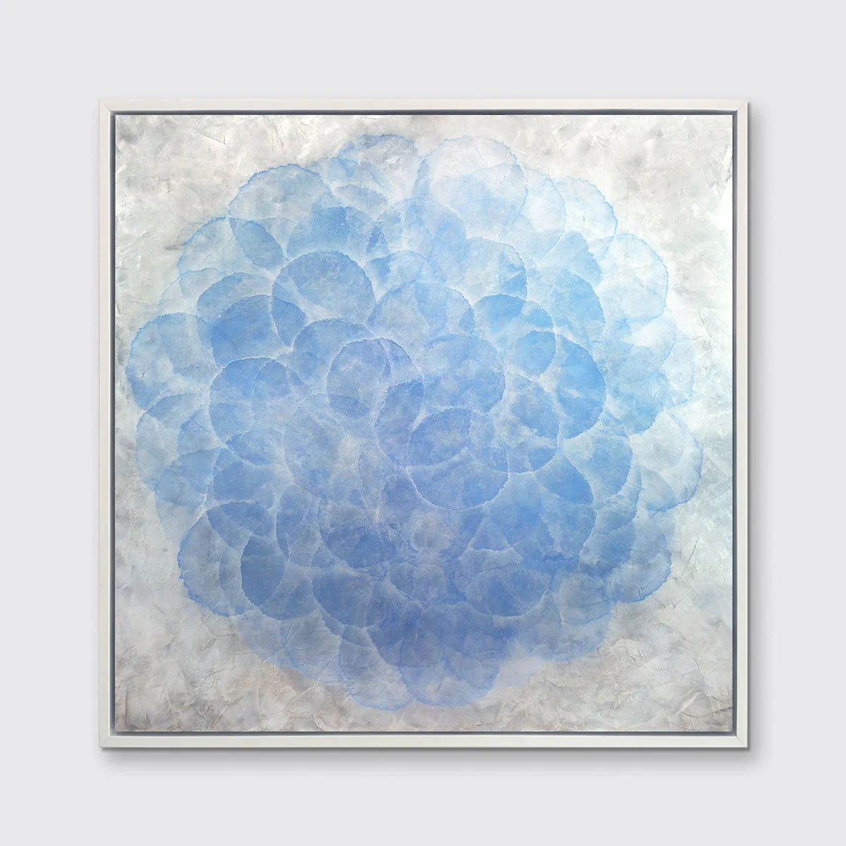 Dichondra - Limited Edition Canvas Print - Image 4