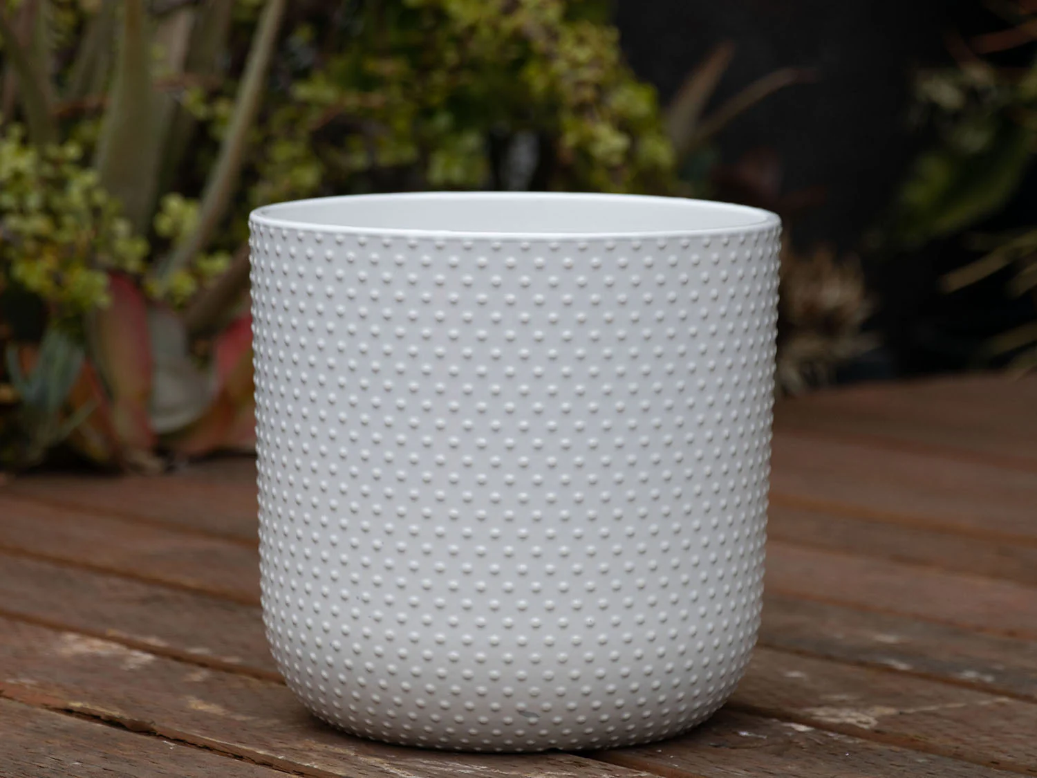 Dotted Cylinder Planter (No Saucer) - Image 3
