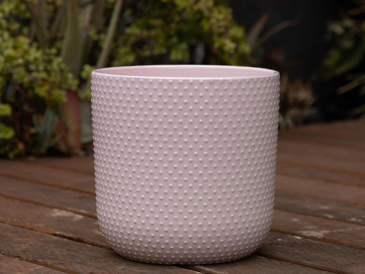 Dotted Cylinder Planter (No Saucer) - Image 7