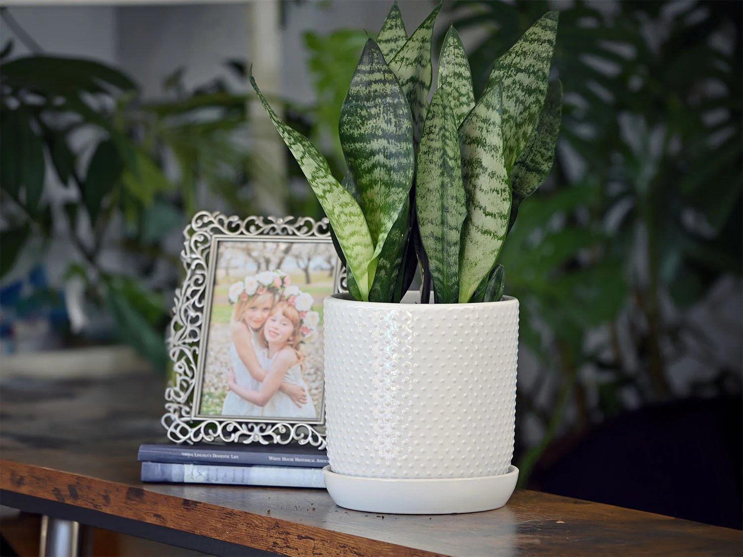 Dotted Cylinder Planter With Attached Saucer - Image 2