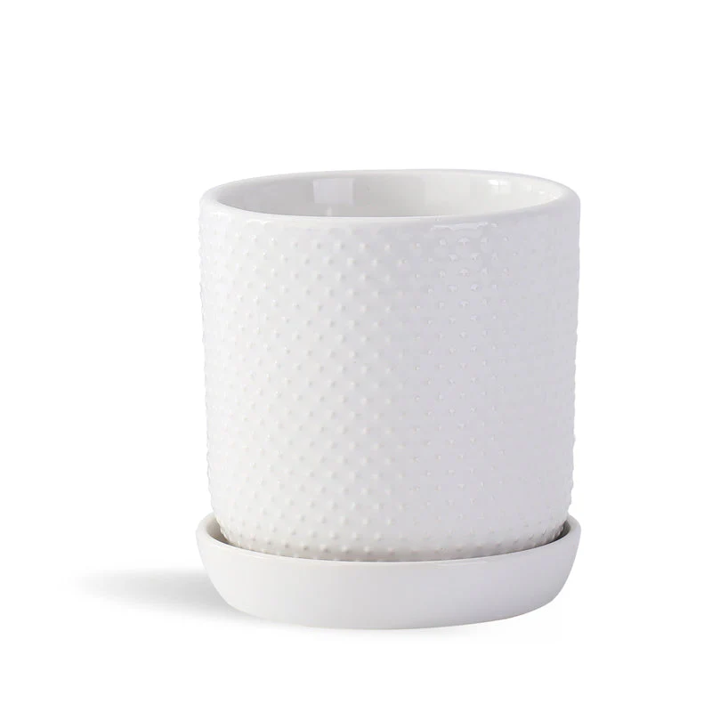 Dotted Cylinder Planter With Attached Saucer - Image 3