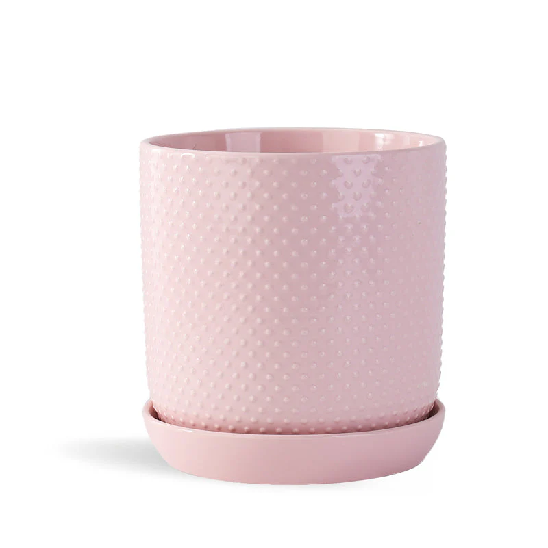 Dotted Cylinder Planter With Attached Saucer - Image 4