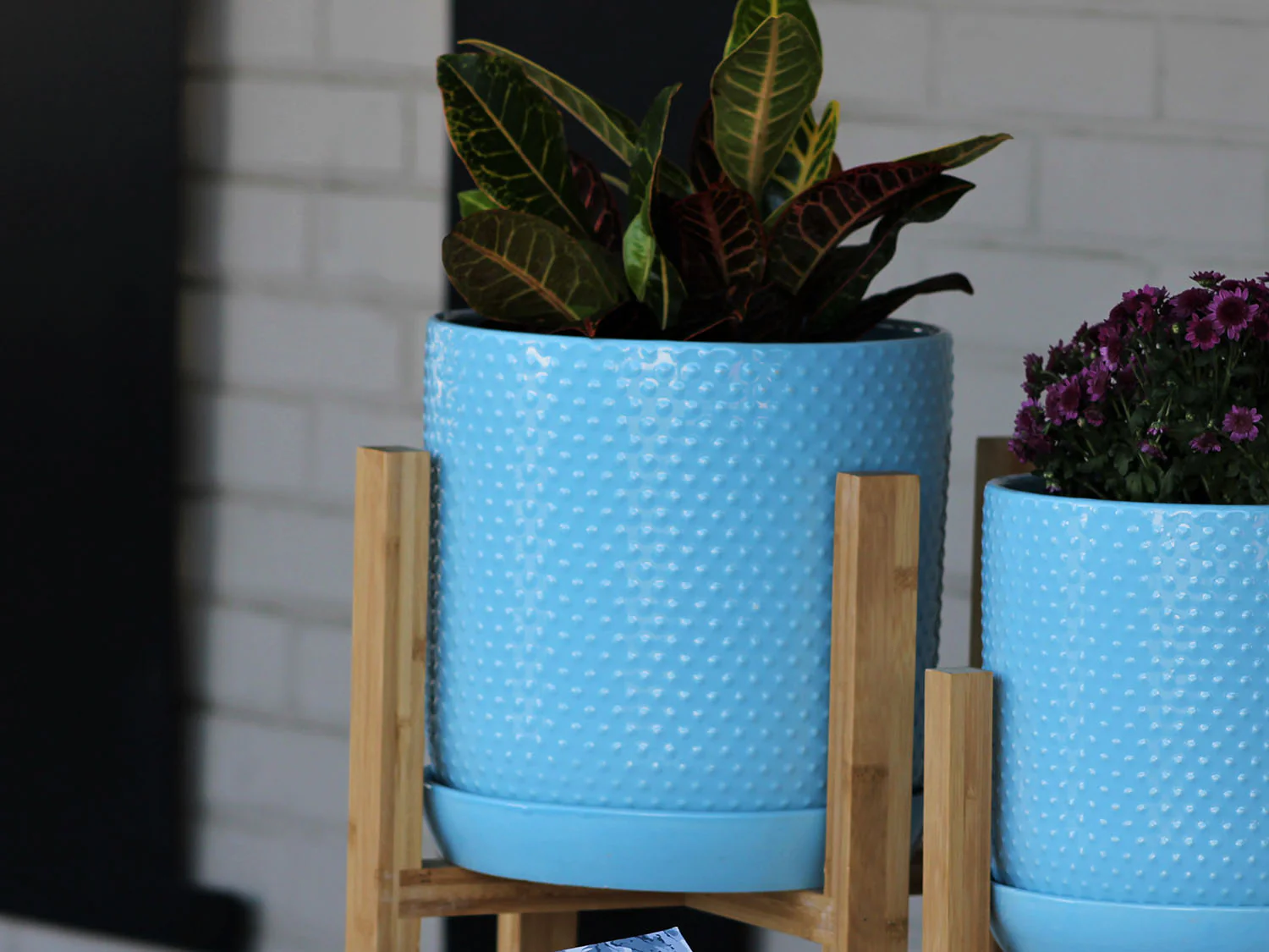 Dotted Cylinder Planter With Attached Saucer - Image 5