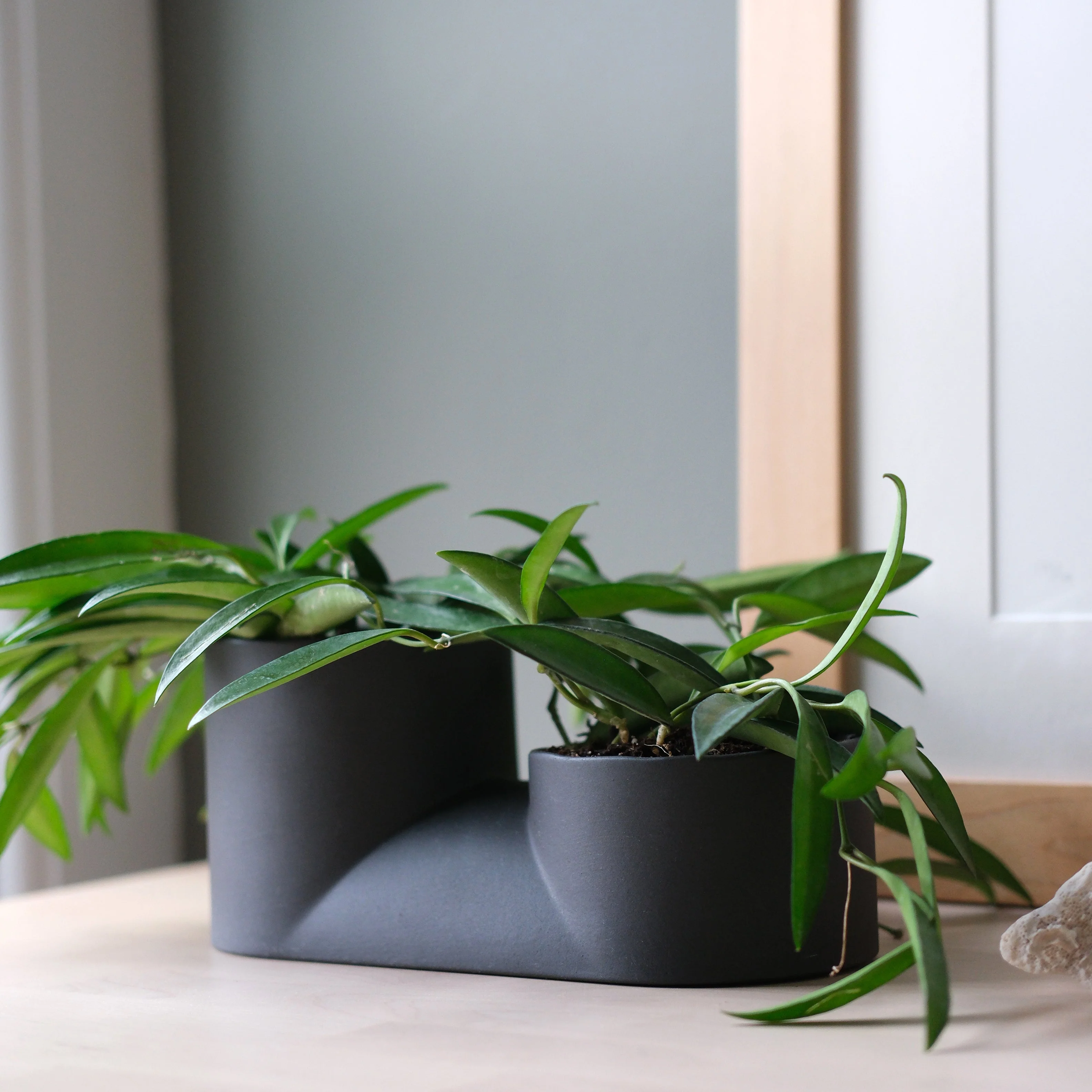 Double Planter - Image 5