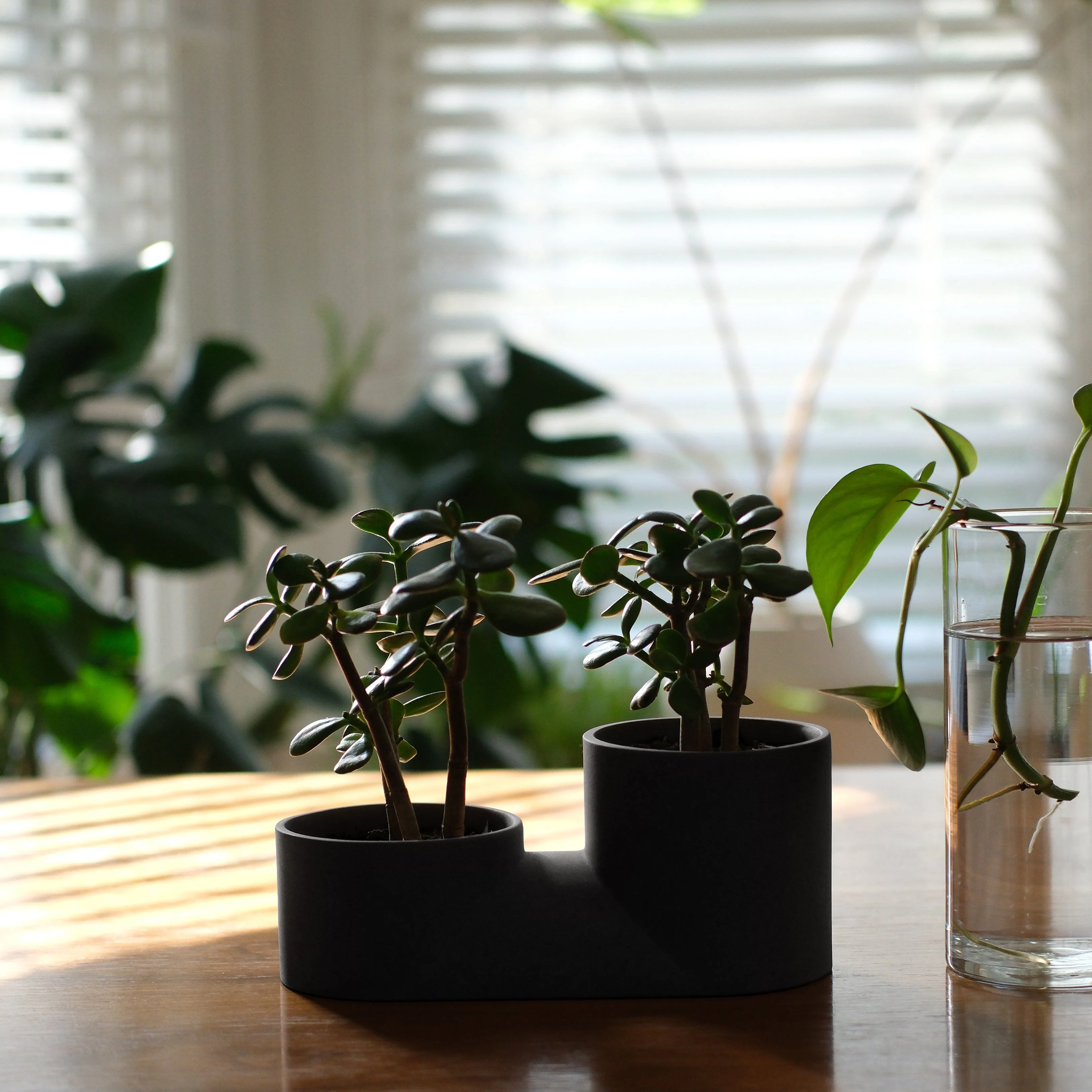 Double Planter - Image 7