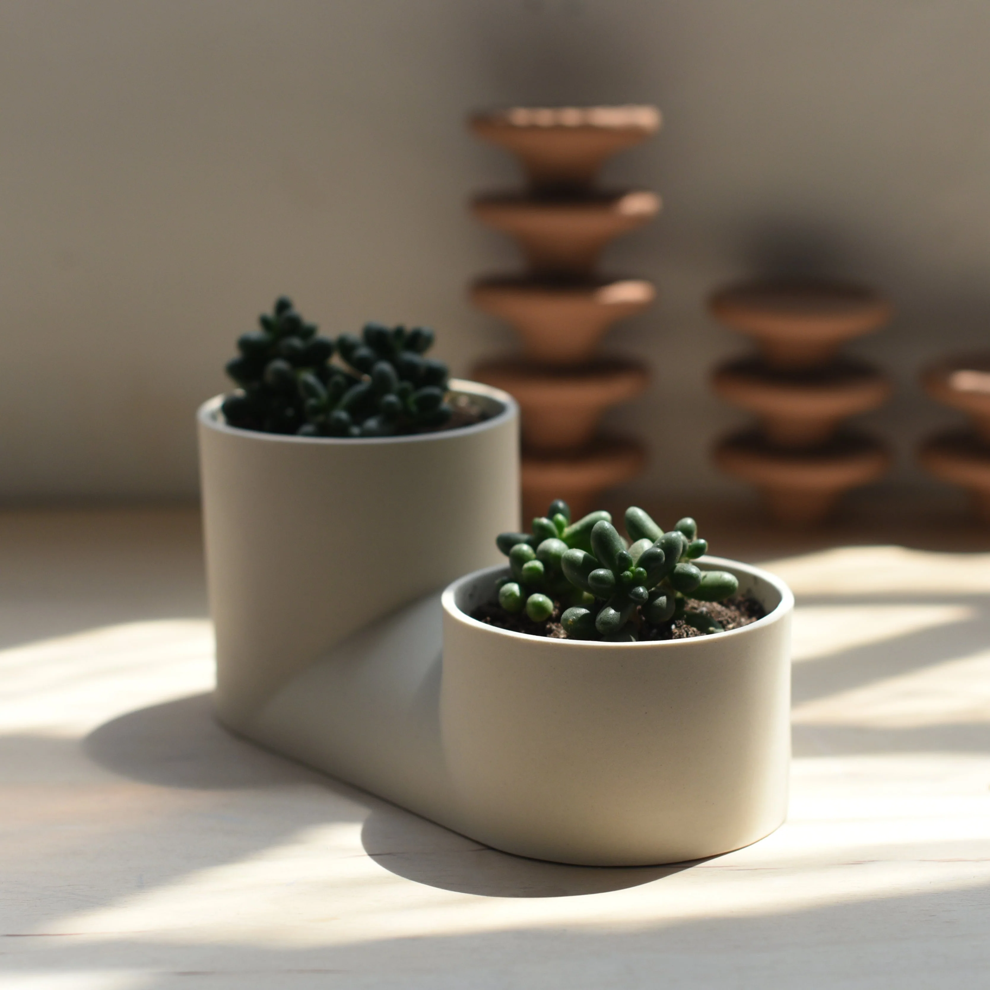 Double Planter - Image 9