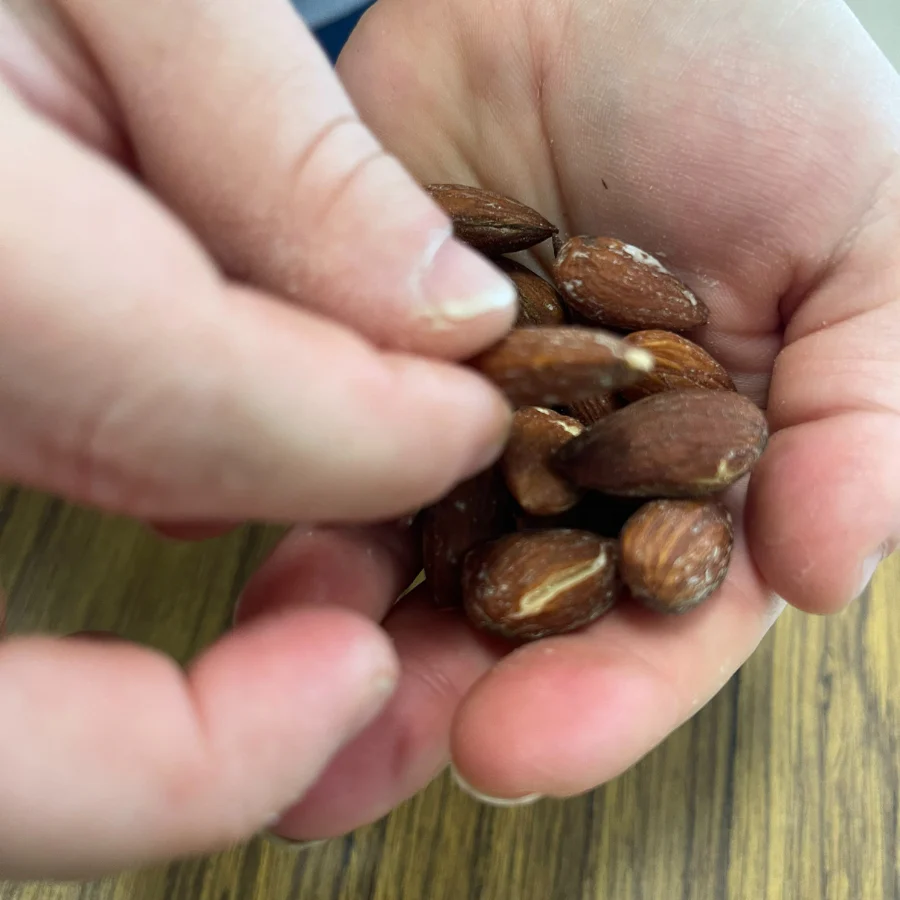 Duck Fat & Sea Salt Roasted Almonds | Pack of 6 | 7 oz | Cornhusker Kitchen - Image 7