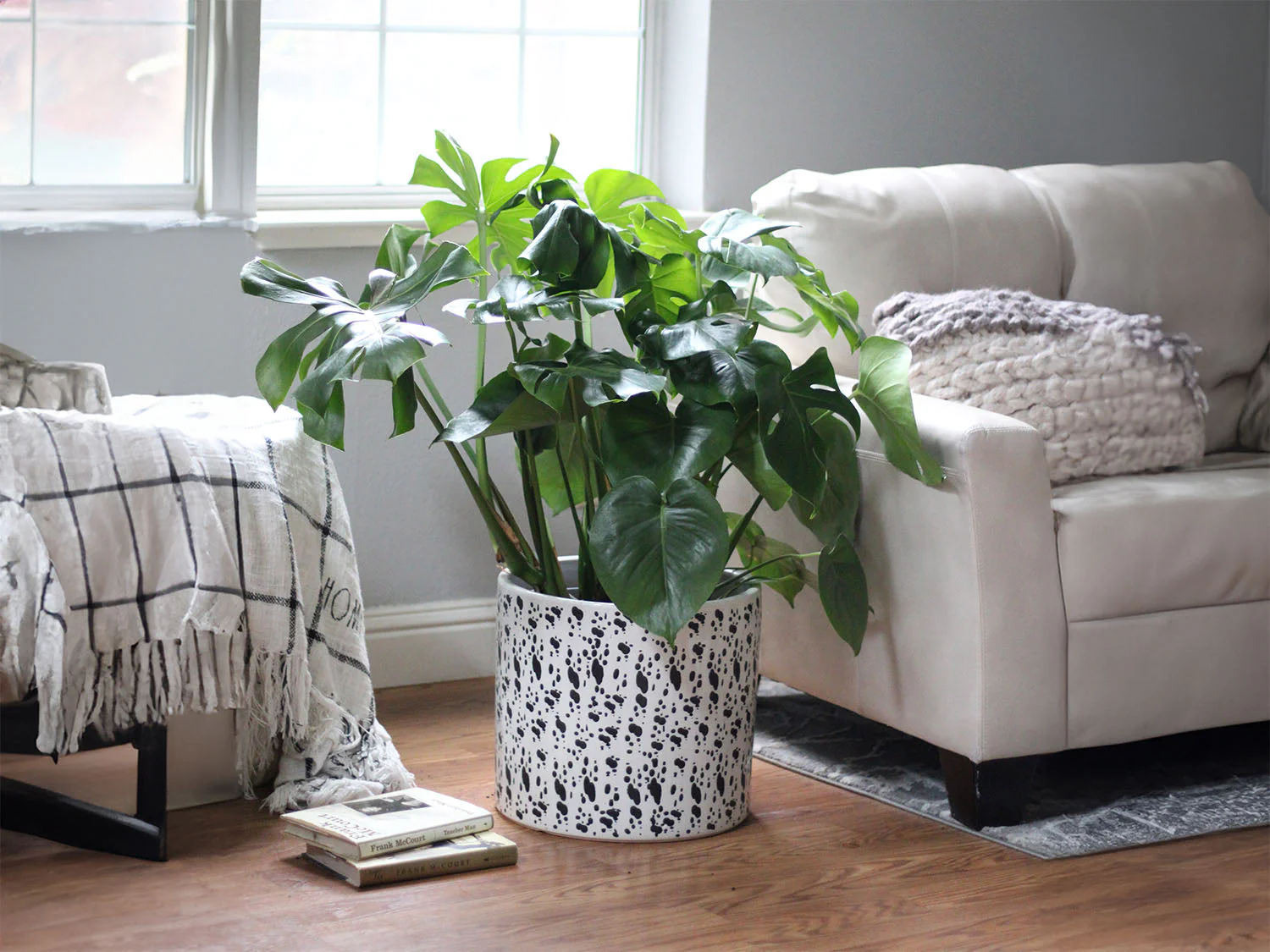Easter Lilly Planter By Plantatorem - Image 3