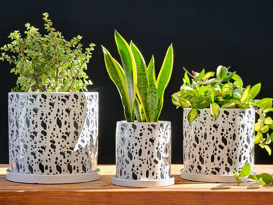 Easter Lilly Planter By Plantatorem - Image 4