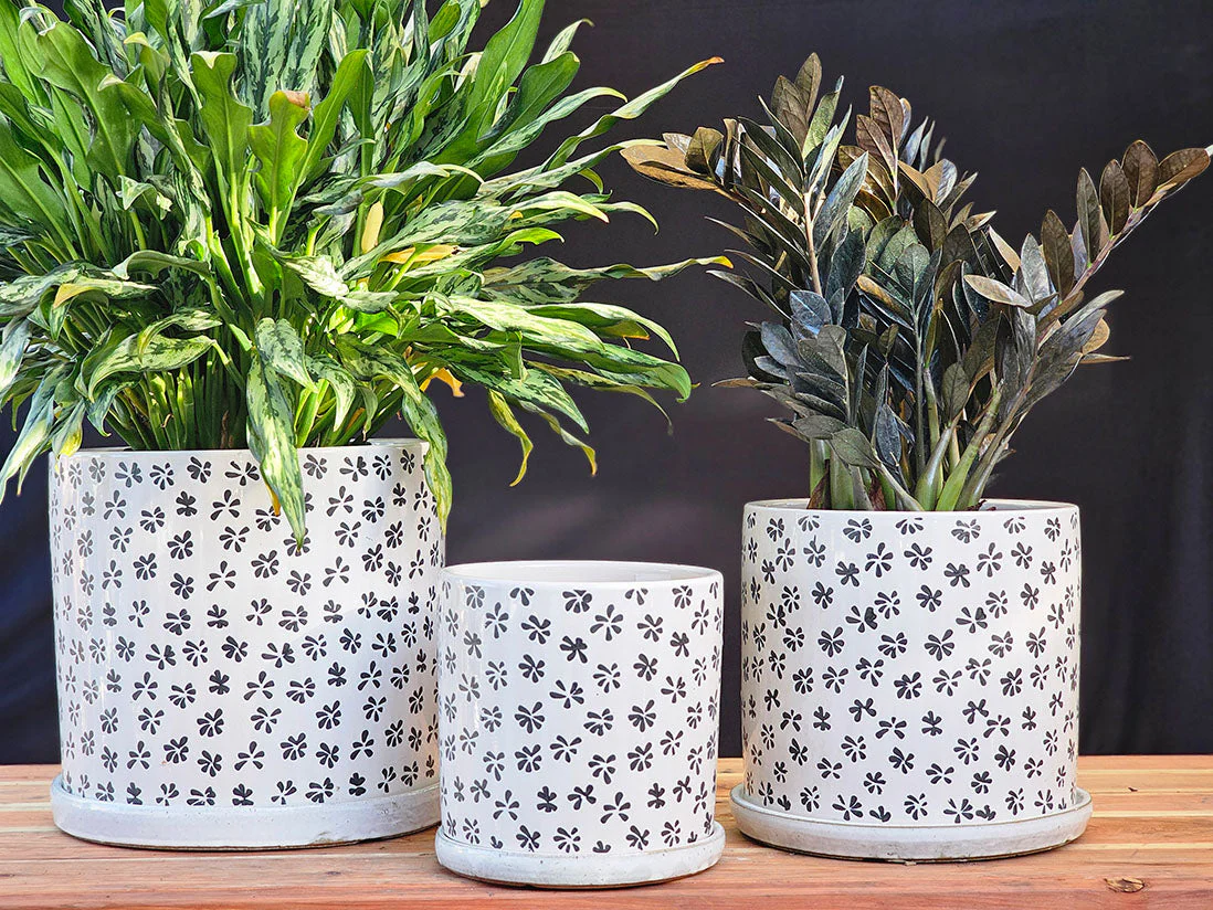 Easter Lilly Planter By Plantatorem - Image 5