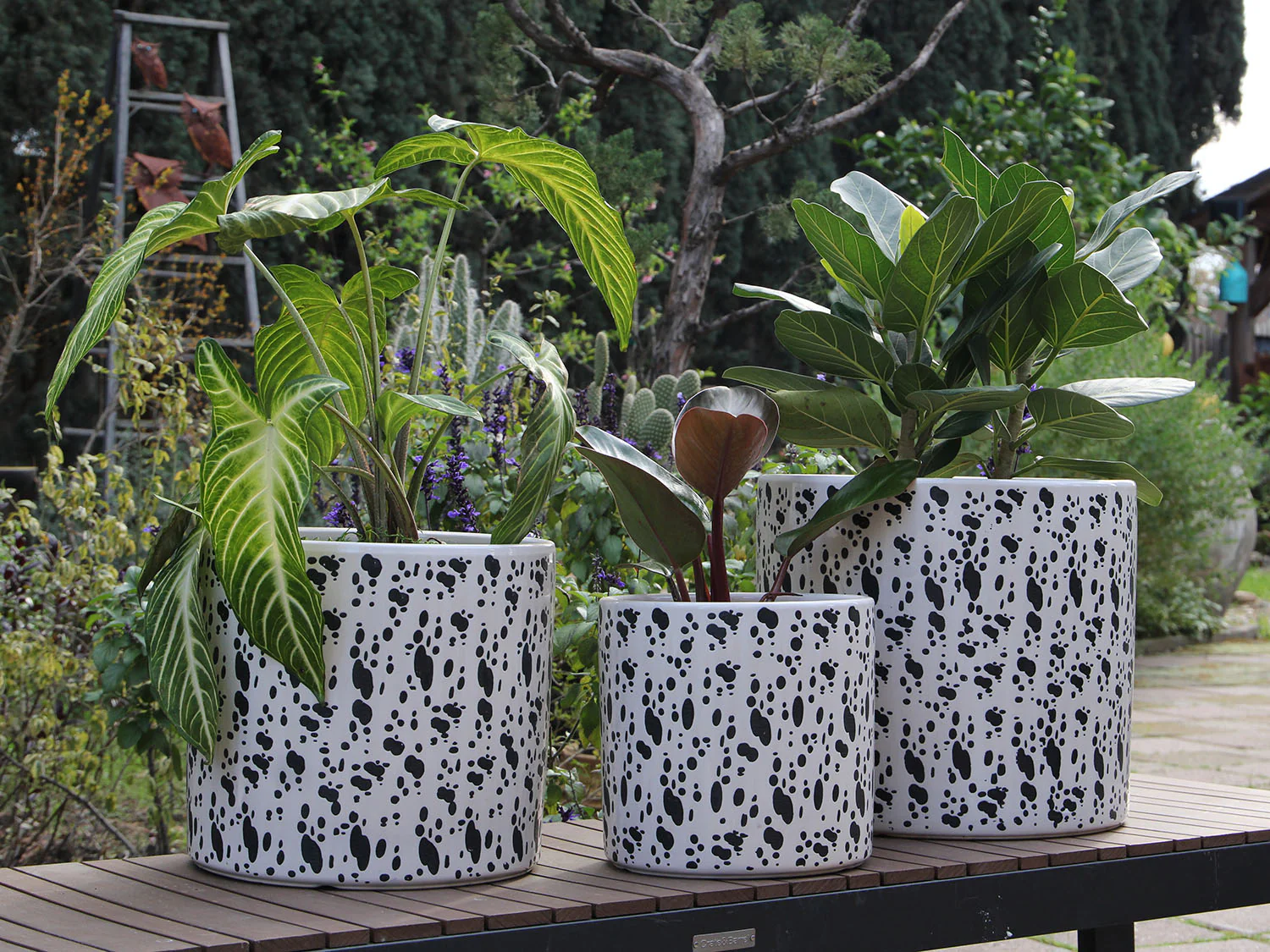Easter Lilly Planter By Plantatorem - Image 6