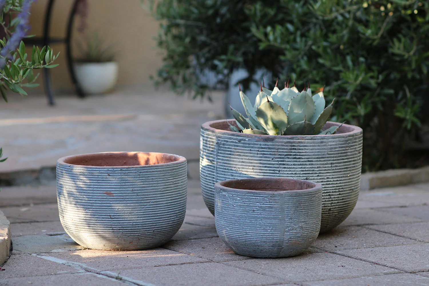 Egg Horizontal Ripples Planter - Set of 3 By Plantatorem - Image 6