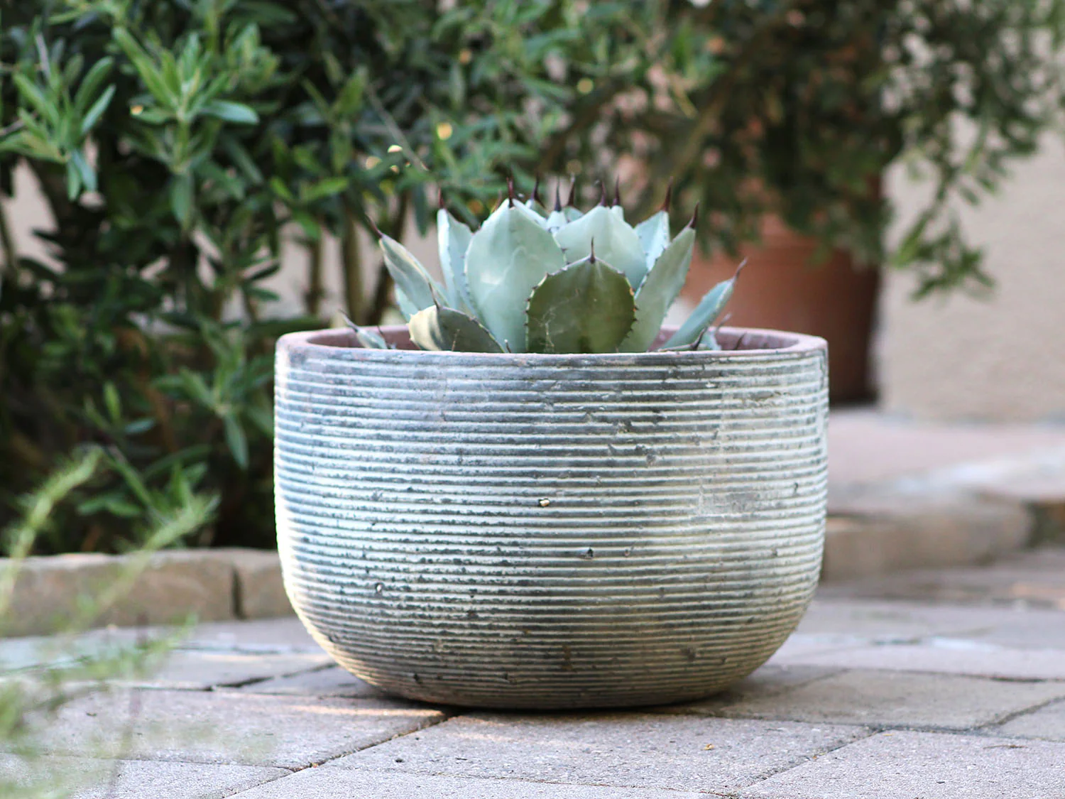 Egg Horizontal Ripples Planter - Set of 3 By Plantatorem - Image 7