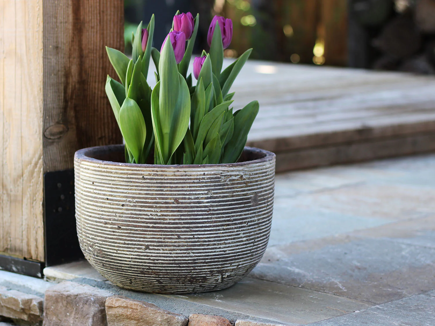 Egg Horizontal Ripples Planter - Set of 3 By Plantatorem - Image 8