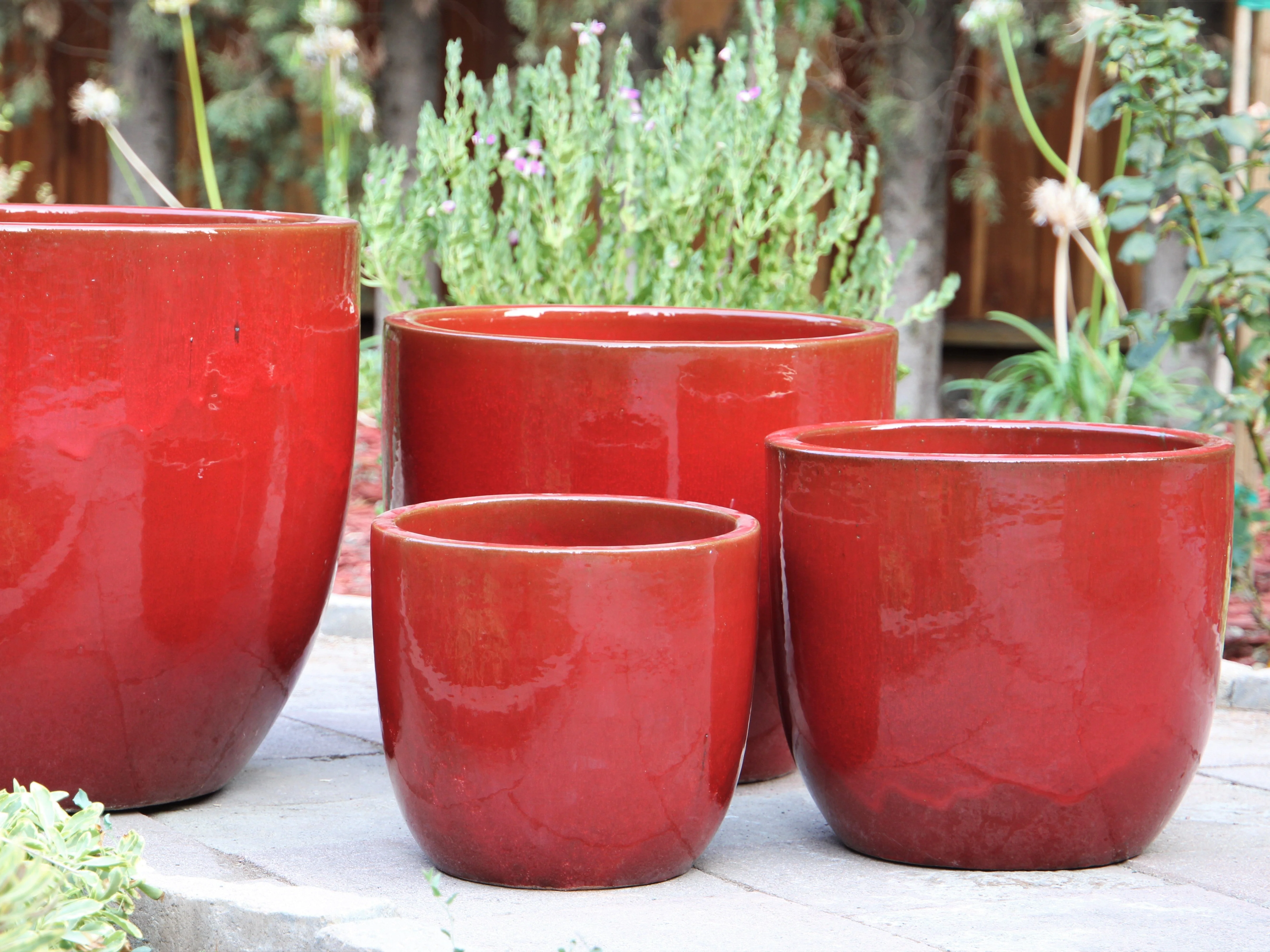 Egg Shell Pots - Set of 4 By Plantatorem - Image 10