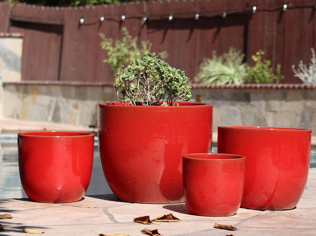 Egg Shell Pots - Set of 4 By Plantatorem - Image 11