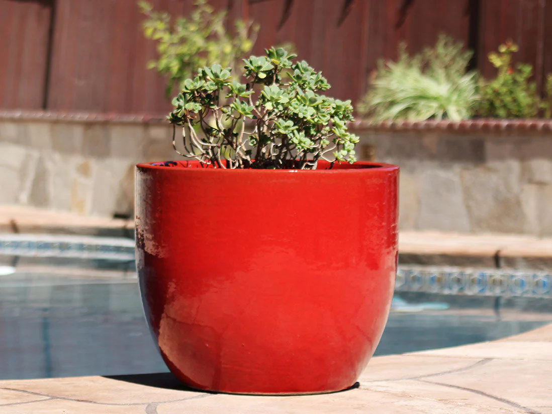 Egg Shell Pots - Set of 4 By Plantatorem - Image 12