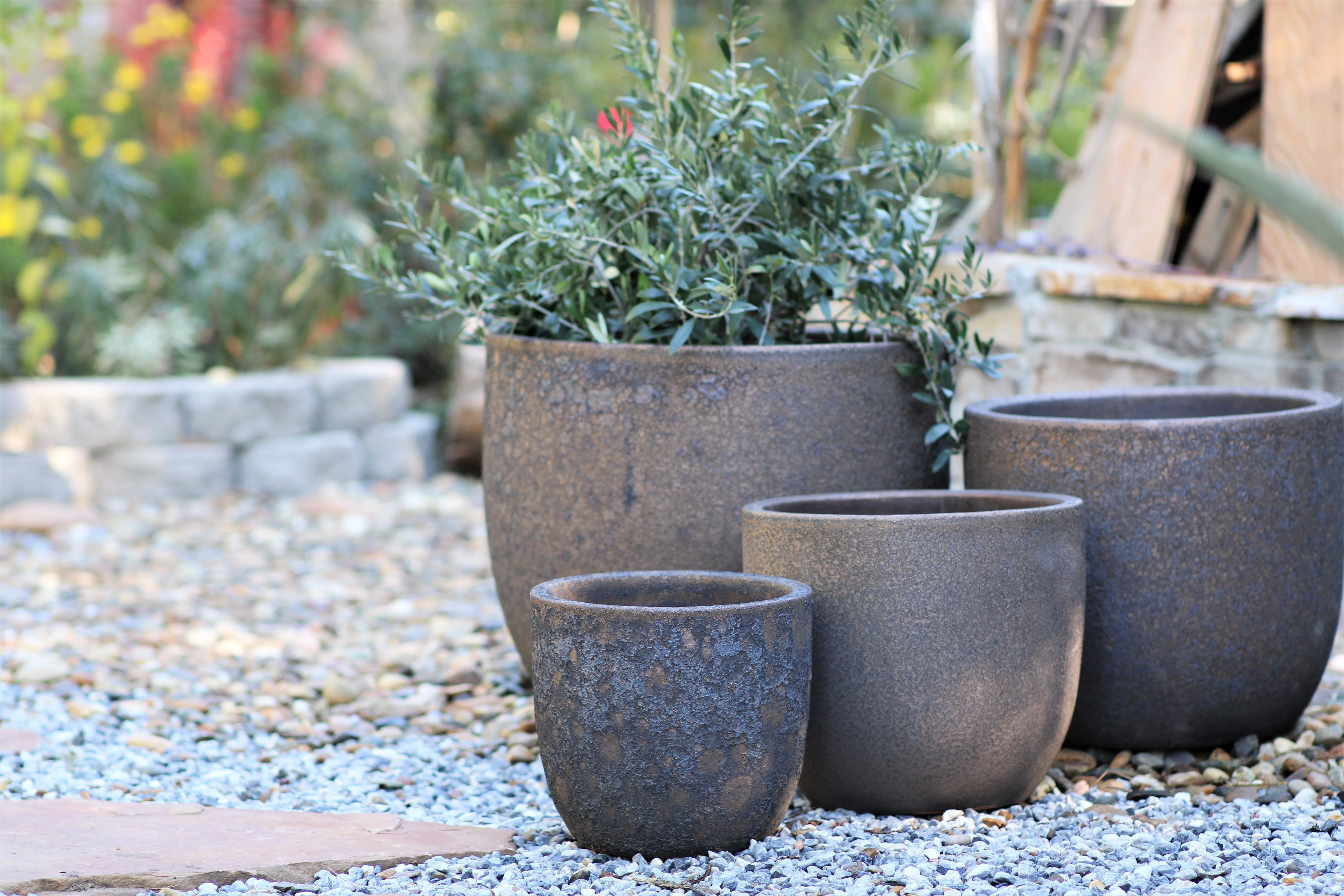 Egg Shell Pots - Set of 4 By Plantatorem - Image 14