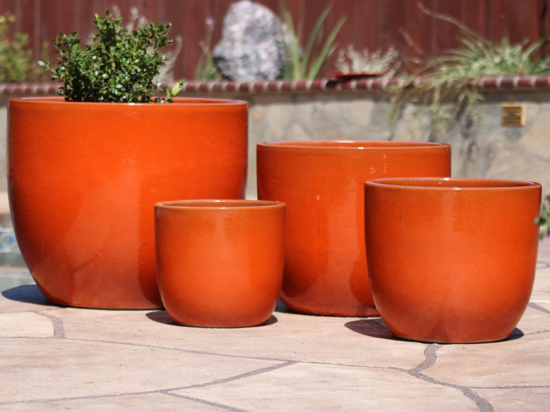 Egg Shell Pots - Set of 4 By Plantatorem - Image 16