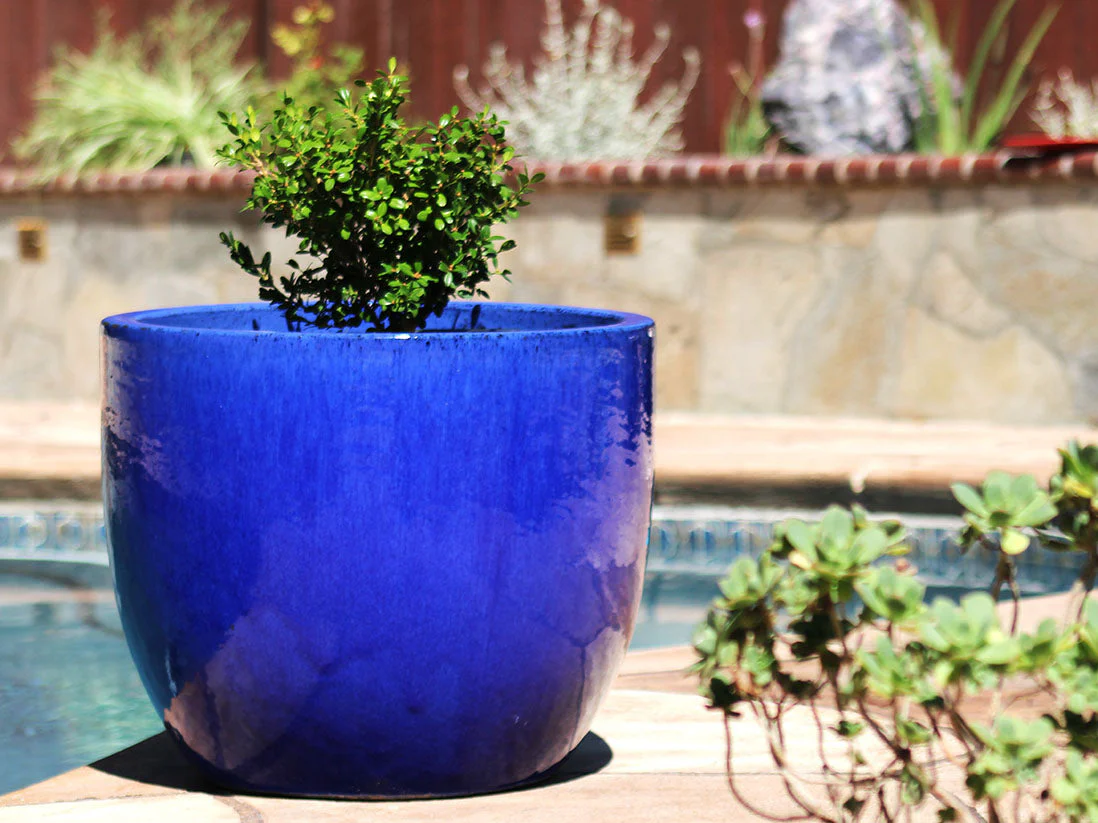 Egg Shell Pots - Set of 4 By Plantatorem - Image 3