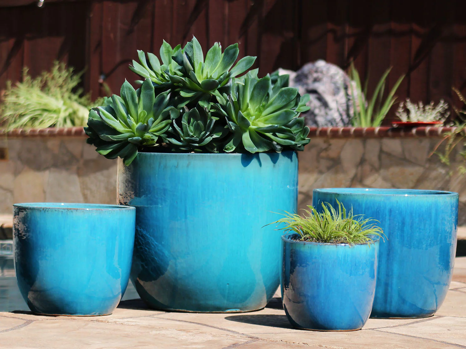 Egg Shell Pots - Set of 4 By Plantatorem - Image 5